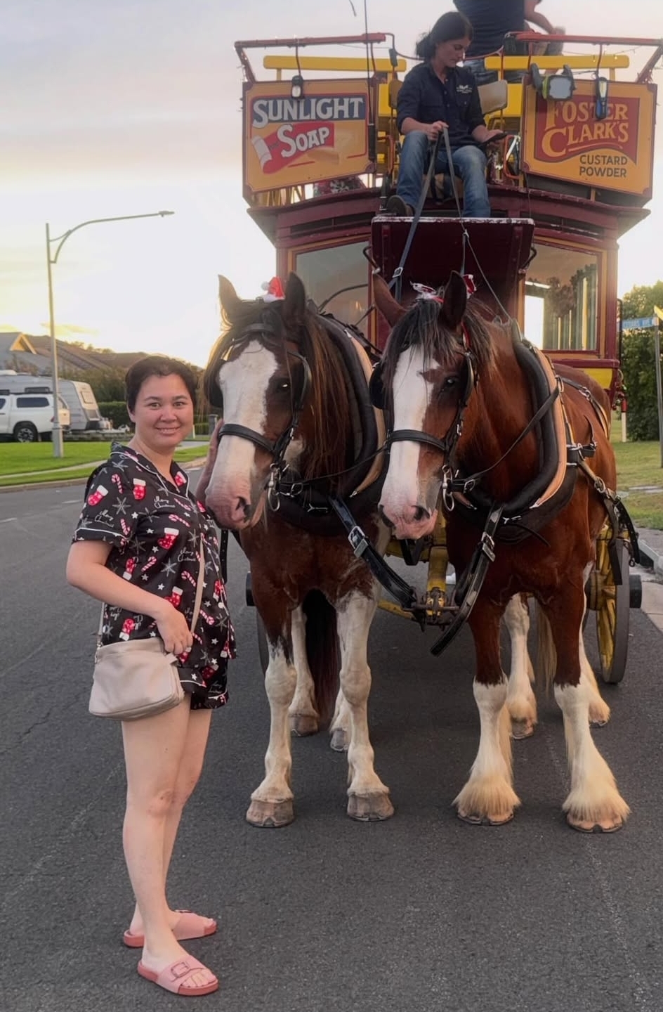 Out and about with horses